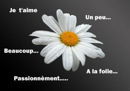 je t'aime un peu,beaucou,a la folie.