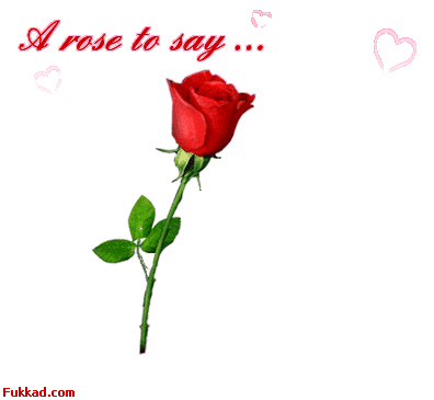 pour toi mon amour