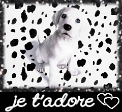 Je t'adore