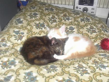 walyss et winnie